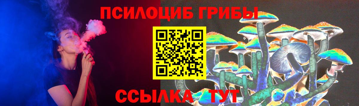 Псилоцибиновые грибы Psilocybine cubensis  Псилоцибиновые грибы ЛСД  Искитим  Вход с VPN 